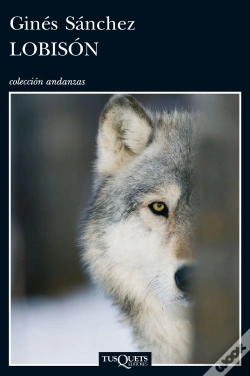 Capa do artigo Lobisón