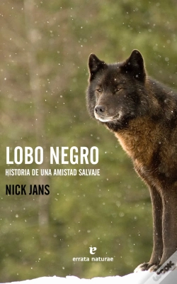 Capa do artigo Lobo Negro