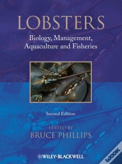 Capa do artigo Lobsters