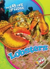 Capa do artigo Lobsters