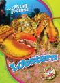 Lobsters - Preview