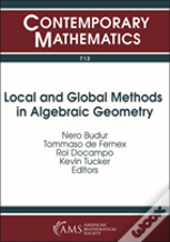 Local And Global Methods In Algebraic Geometry