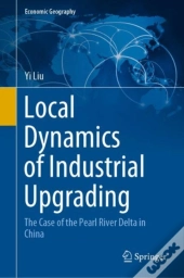 Local Dynamics Of Industrial Upgrading