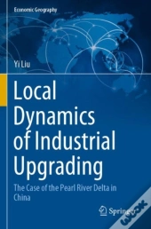 Local Dynamics Of Industrial Upgrading