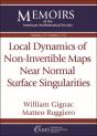 Local Dynamics Of Non-Invertible Maps Near Normal Surface Singularities - Preview