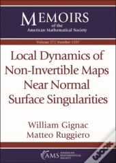 Local Dynamics Of Non-Invertible Maps Near Normal Surface Singularities
