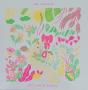 Local Valley Remixes - Vinil - Preview