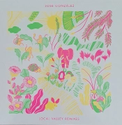 Capa do artigo Local Valley Remixes - Vinil