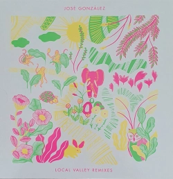Capa do artigo Local Valley Remixes - Vinil
