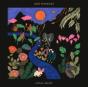 Local Valley - Vinil - Preview
