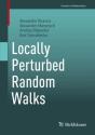 Locally Perturbed Random Walks - Preview