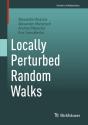 Locally Perturbed Random Walks - Preview