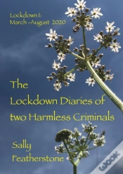 Capa do artigo Lockdown Diary