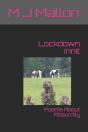 Lockdown Innit - Preview
