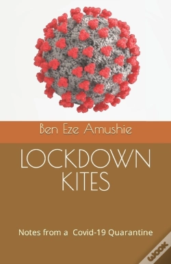 Capa do artigo Lockdown Kites