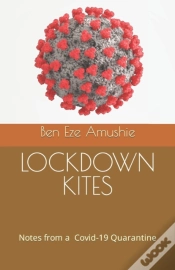 Capa do artigo Lockdown Kites