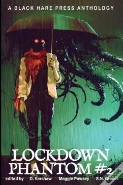 Capa do artigo Lockdown Phantom #2