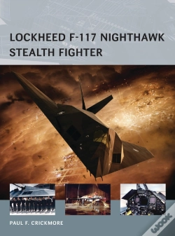 Capa do artigo Lockheed F-117 Nighthawk Stealth Fighter