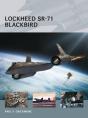 Lockheed Sr-71 Blackbird - Preview