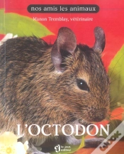 Capa do artigo L