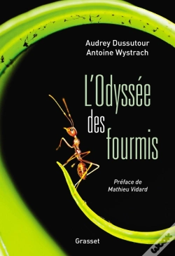 Capa do artigo L'Odyssée Des Fourmis
