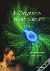 Capa do artigo L