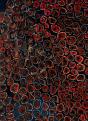 L'Oeil Nu : Que La Nature Soit Peinture - Preview