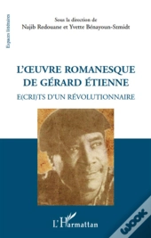 L'Oeuvre Romanesque De Gérard Etienne ; É(Cri)Ts D'Un Révolutionnaire