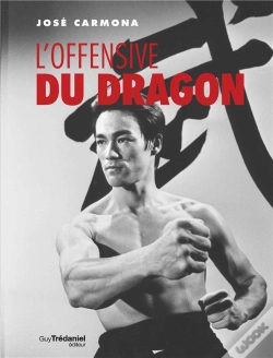 Capa do artigo L'Offensive Du Dragon