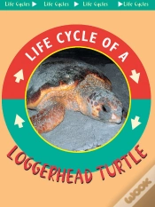 Capa do artigo Loggerhead Turtle