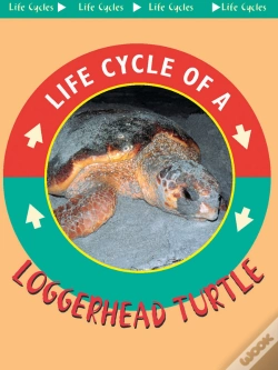 Capa do artigo Loggerhead Turtle