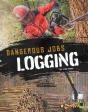 Logging - Preview