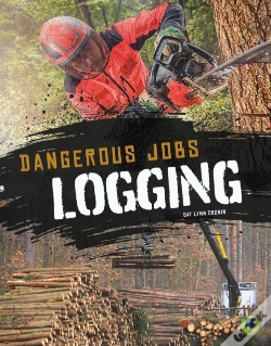 Capa do artigo Logging