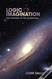 Capa do artigo Logic Of Imagination