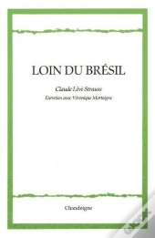 Loin Du Brésil ; Entretiens Avec Véronique Mortaigne