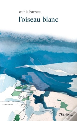 Capa do artigo L'Oiseau Blanc