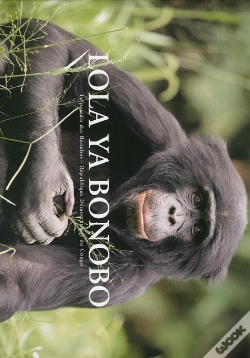 Capa do artigo Lola Ya Bonobo 1  Reverse Au Sanctuaire