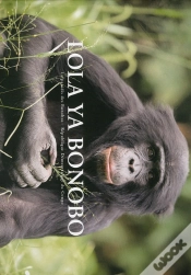 Capa do artigo Lola Ya Bonobo 1  Reverse Au Sanctuaire