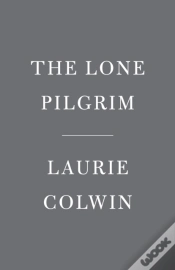 Capa do artigo Lone Pilgrim