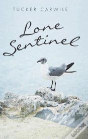 Capa do artigo Lone Sentinel
