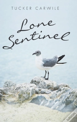 Capa do artigo Lone Sentinel