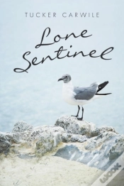 Capa do artigo Lone Sentinel