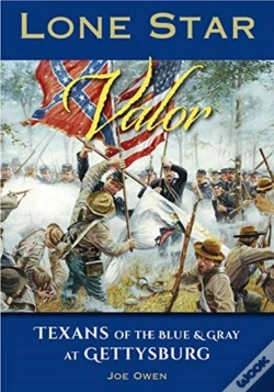 Capa do artigo Lone Star Valor