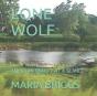 Lone Wolf - Preview