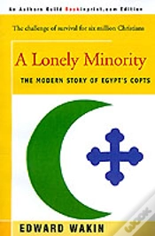 Capa do artigo Lonely Minority