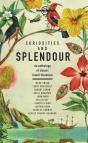 Lonely Planet Curiosities And Splendour - Preview