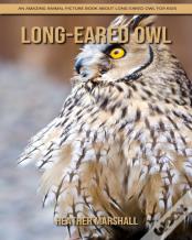 Long-Eared Owl