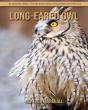 Long-Eared Owl - Preview