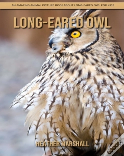 Capa do artigo Long-Eared Owl