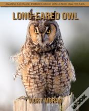 Long-Eared Owl